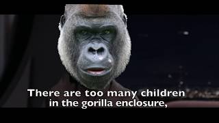 Harambe meets the Younglings [upl. by Soinotna796]