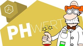 Berechnung des pHWerts Teil 2 wässrige Lösungen starker Basen [upl. by Ivette98]