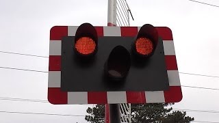 Level Crossing at Burrow Road Dublin [upl. by Onid627]