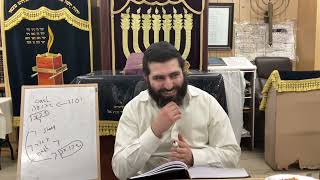 Sharei Orah73 Rav Shalom Gadaev 5784 [upl. by Cybill]