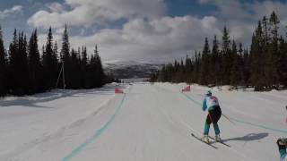 SkiCross  Lofsdalen Sweden 2017 [upl. by Fausta990]