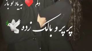 Aryana Sayeed New Song 2019 Dilam♥️ Ba Yade Tu Baz [upl. by Eustace]