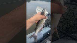 Holloway Reservoir fishing on the Kayak [upl. by Eliezer123]