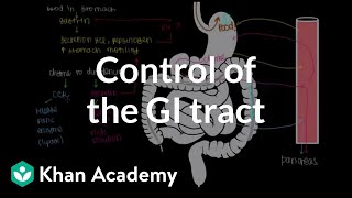 Control of the GI tract  Gastrointestinal system physiology  NCLEXRN  Khan Academy [upl. by Ipoillak]