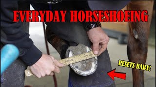 Everyday Horseshoeing Shoeing an Eventing Horse with Toe Clips [upl. by Eanerb]