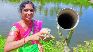 PVC PIPE TRAPPING TECHNIQUES  LADIES FISH HUNTING  Village Super Cooking [upl. by Willcox503]