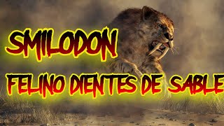 SMILODON EL FELINO DIENTES DE SABLE [upl. by Au230]