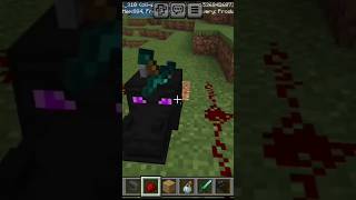 How to make a dead ender dragon head in Minecraft tiktok hack 40 [upl. by Robinson]