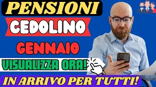 PENSIONI CEDOLINO GENNAIO 2024 ARRIVATO CONTROLLA GLI AUMENTI ORA [upl. by Nohsed872]