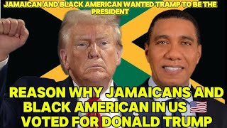 MUST SEE REASON WHY JAMAICANS amp BLACK AMERICAN IN US 🇺🇲 amp NYC VOTED FOR DONALD TRUMP THE PRESIDENT [upl. by Nus512]