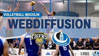 Volleyball masculin  Tigers c Carabins [upl. by Adelaida]