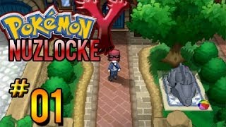 Pokemon Y Nuzlocke Playthrough Part 1 A New Adventure [upl. by Courcy]