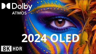 Oled Demo 2024 8K HDR 120FPS Demo OLED SONY Dolby AtmosVision [upl. by Smart254]