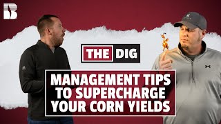 Management Tips To Supercharge Your Corn Yields  The Dig [upl. by Anrym]