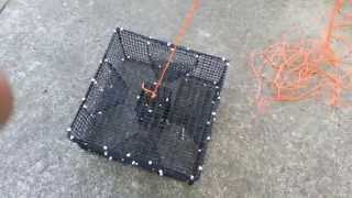 Prepare a shrimpprawn trap for salt water fishing [upl. by Alrrats]