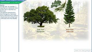 Wood Technology Hardwood versus Softwood [upl. by Bathulda]