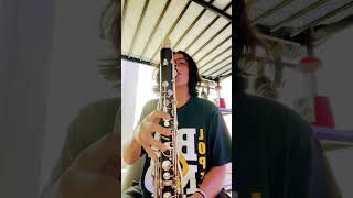 5 C’s on a Bass Clarinet Finally shorts bassclarinet [upl. by Gordie]