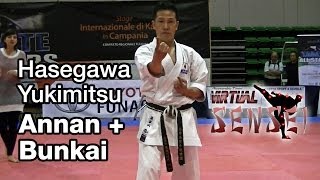 Hasegawa Yukimitsu teaching kata Annan Ryuei ryu  bunkai  Karate All Stars 2013 [upl. by Rufena]