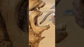 Camel Eats Snake But Why [upl. by Hezekiah]