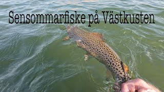 Sensommarfiske Havsöring 25kg [upl. by Rednal]