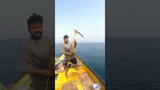 sailorraj fish shorts shortsfeed fisherman viralshort youtubeshorts viral short [upl. by Neneek972]