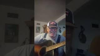 Detroit City cover of a Bobby Bare song [upl. by Schoenburg626]