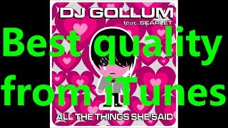 DJ Gollum  All the Things She Said feat Scarlet Radio Mix Lyrics [upl. by Nwahsirhc]