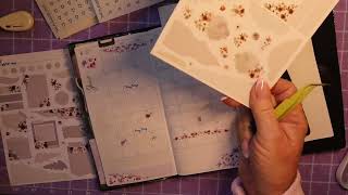 Plan with me in my Papertess Designs Weeks notebook using ‘Little Bloom Paperie’ [upl. by Nairred]