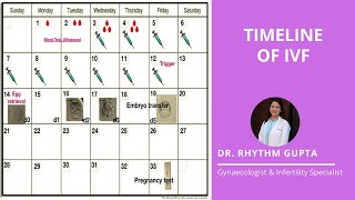 Timeline of IVF Explained Correctly  Dr Rhythm Gupta  Fertility Specialist [upl. by Aiel349]