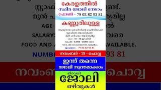 kerala jobs 2024 todays job malayalam jobs November 19 [upl. by Akli28]