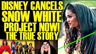 DISNEY CANCELLED SNOW WHITE PROJECT The TRUE STORY Arrives amp Its A Nightmare For Bob Iger [upl. by Flann]