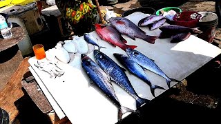 Fish market visakhapatnam  fishing harbour visakhapatnam  Day3 part 2 [upl. by Boj138]