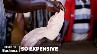 How Chinese Demand For Fish Maw Swim Bladder Fuels A 52 Million Industry In Uganda  So Expensive [upl. by Siesser]