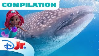 Disney Animals Under the Sea with Ariel🧜🏾‍♀️  Compilation  Sharks Turtles amp MORE  disneyjr [upl. by Haran]