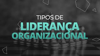 Tipos de Liderança Organizacional [upl. by Brew193]