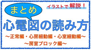 教科書をわかりやすく！「心電図のわかりやすい読み方まとめ」正常編・心房細動編・心室細動編・房室ブロック編 [upl. by Belloir]