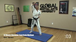 10 Minute Total Body Shotokan Workout [upl. by Pulchia]