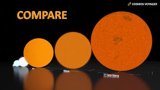 🌞 Qual é o tamanho do Sol em comparação com outras estrelas [upl. by Jeremy]