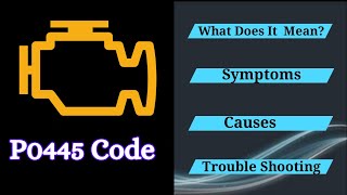 Solve the P0445 Trouble Code Top Causes and StepbyStep Repairs [upl. by Ynnob104]