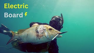 Spearfishing with my Electric board Efoil  Chasse sousmarine en planche electrique Ep24 [upl. by Aciamaj366]