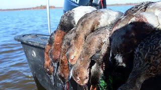 Canvasbacks amp Mallards  Diver and Puddle Duck Mixed Hunt  Ep 43 Duck Hunting 2024 [upl. by Oetsira]