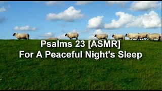 Psalm 시편 23편 10번 반복 들으며 읽기 10 Times Repeat  ASMR 영어성경 낭독 [upl. by Artied776]