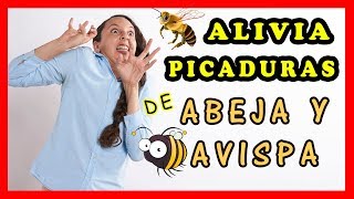 Como quitar el dolor de una picadura de abeja y avispa y bajar la hinchazon [upl. by Merri]