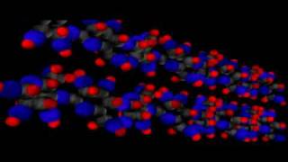 Organic Molecules Carbohydrates  Cell Biology  Biochemistry [upl. by Ayarahs148]