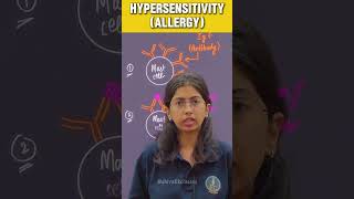 HYPERSENSITIVITY ALLERGY neetncertbiology education biology neetbio neet2025 boardexam2025 [upl. by Newg]