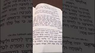 Chazan Nathan Gluck  Nusach Yom Tov Amida Part 1 [upl. by Lawan]