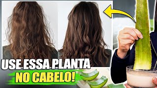 8 RECEITAS SECRETAS que SALVAM qualquer cabelo em 7 dias com BABOSA Aloe Vera [upl. by Gnauq]