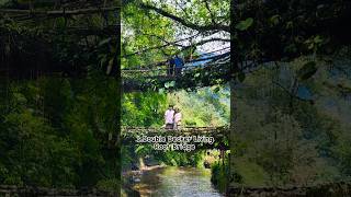 Top 10 places to visit Meghalaya 👌 meghalaya placestovisit shillong viral travel vlog short [upl. by Coppinger377]