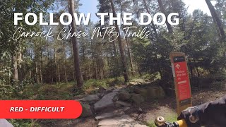 Cannock Chase MTB Trails  Follow the Dog  Difficult Red Trail [upl. by Notlimah]