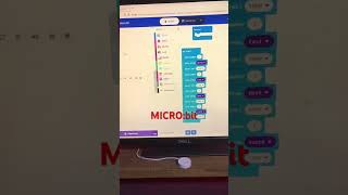 Microbit tutorial එකක් අරන් එන්න ද ☺️ [upl. by Attiuqram343]